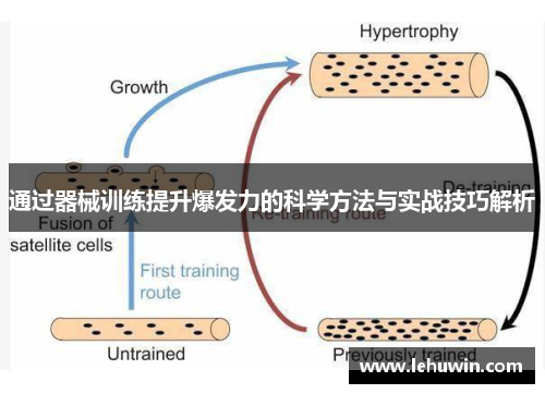 通过器械训练提升爆发力的科学方法与实战技巧解析